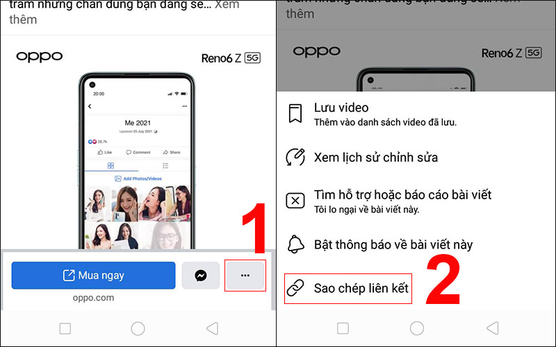 Sao chép liên kết video bạn muốn tải